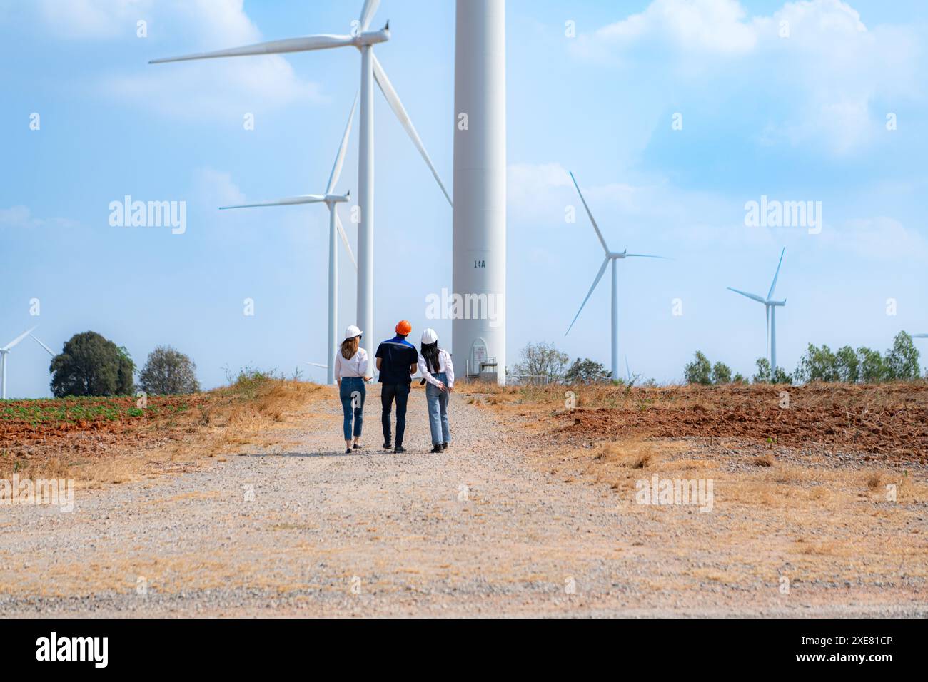 Vue arrière des ingénieurs du groupe marchant et regardant les éoliennes dans une ferme éolienne. Banque D'Images