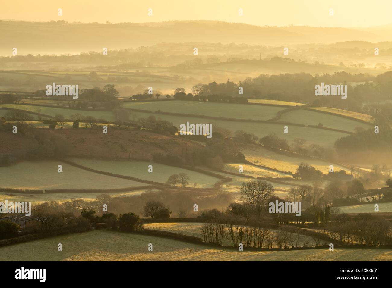 Campagne vallonnée près de Moretonhampstead à l'aube, parc national de Dartmoor, Devon, Angleterre. Hiver (janvier) 2019. Banque D'Images