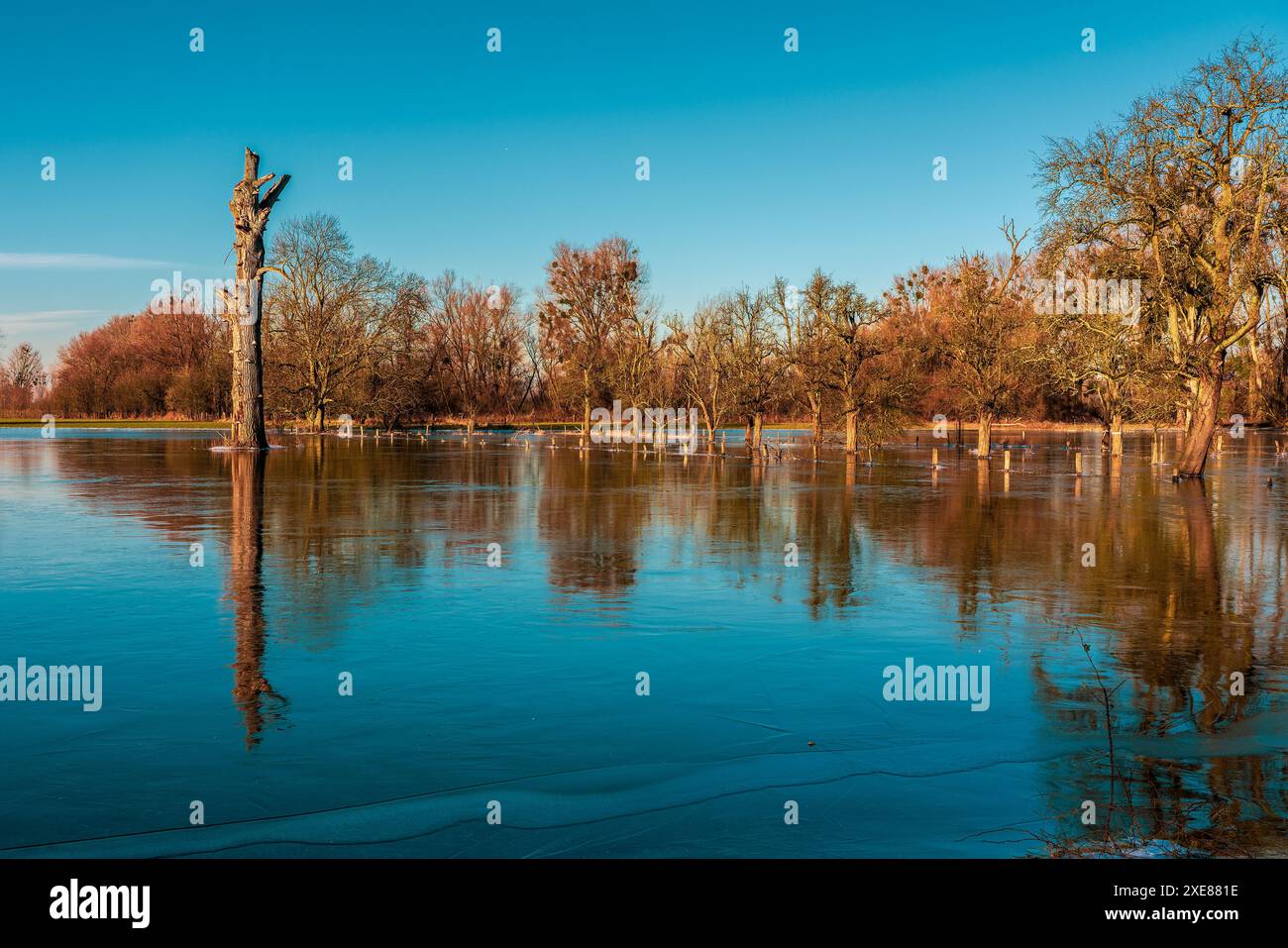 Champs inondés en hiver en Allemagne. Banque D'Images