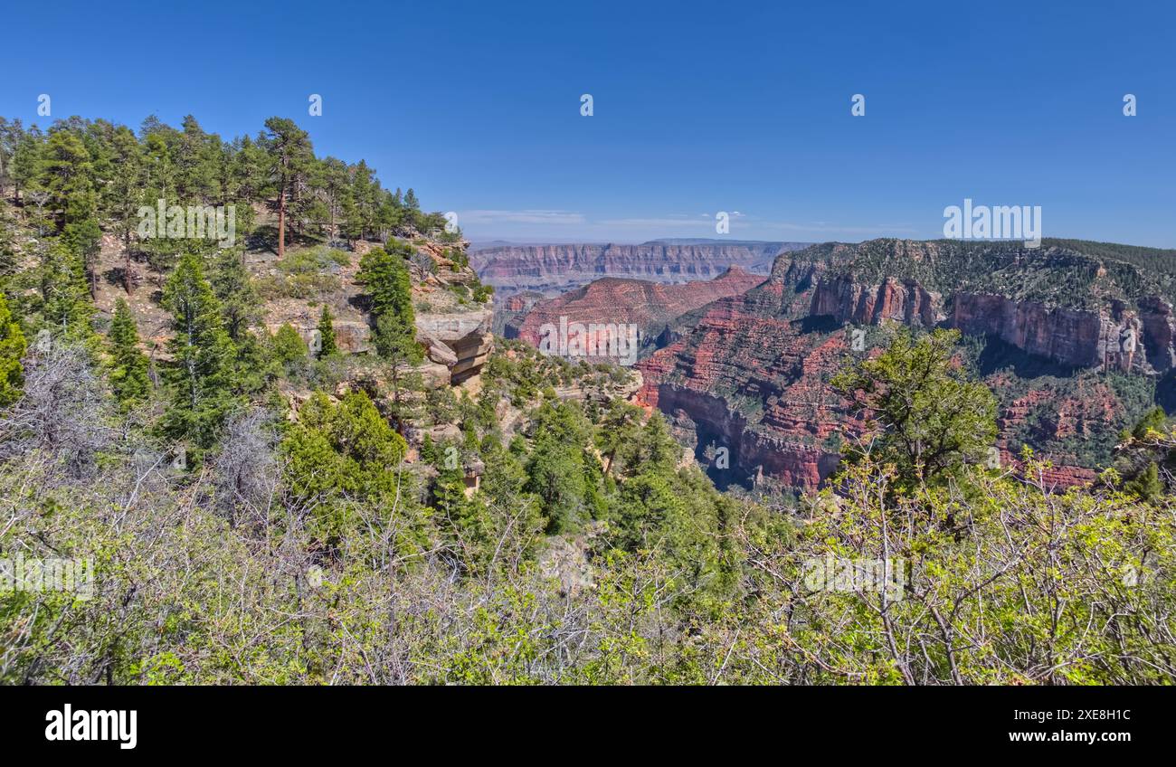 Vue sur les falaises depuis le bord de Naji point sur la rive nord du parc national du Grand Canyon en Arizona. Cape final est au loin. Banque D'Images