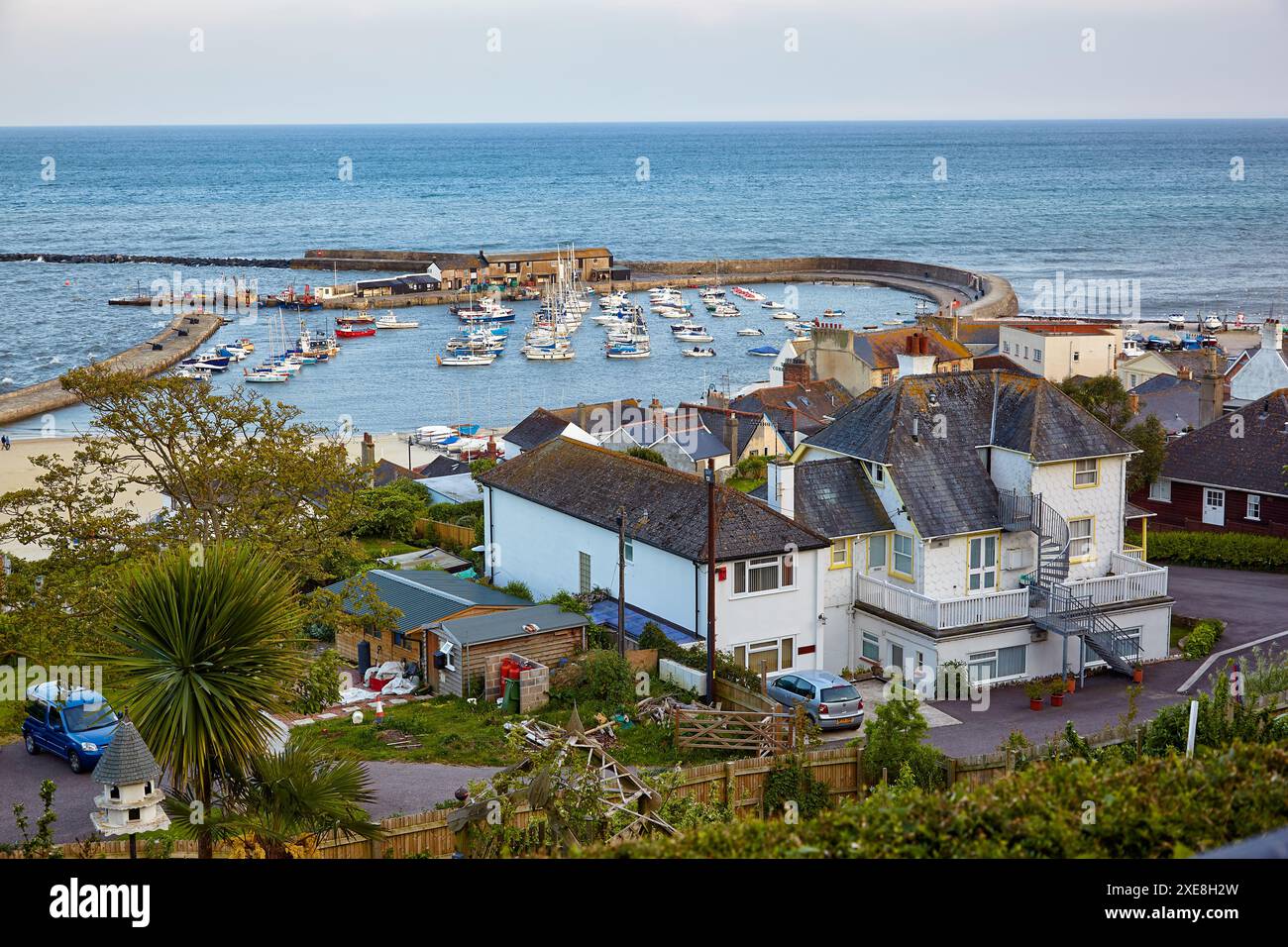 Le port de Cobb à Lyme Regis est un port dans la baie de Lyme. West Dorset. L'Angleterre. Banque D'Images