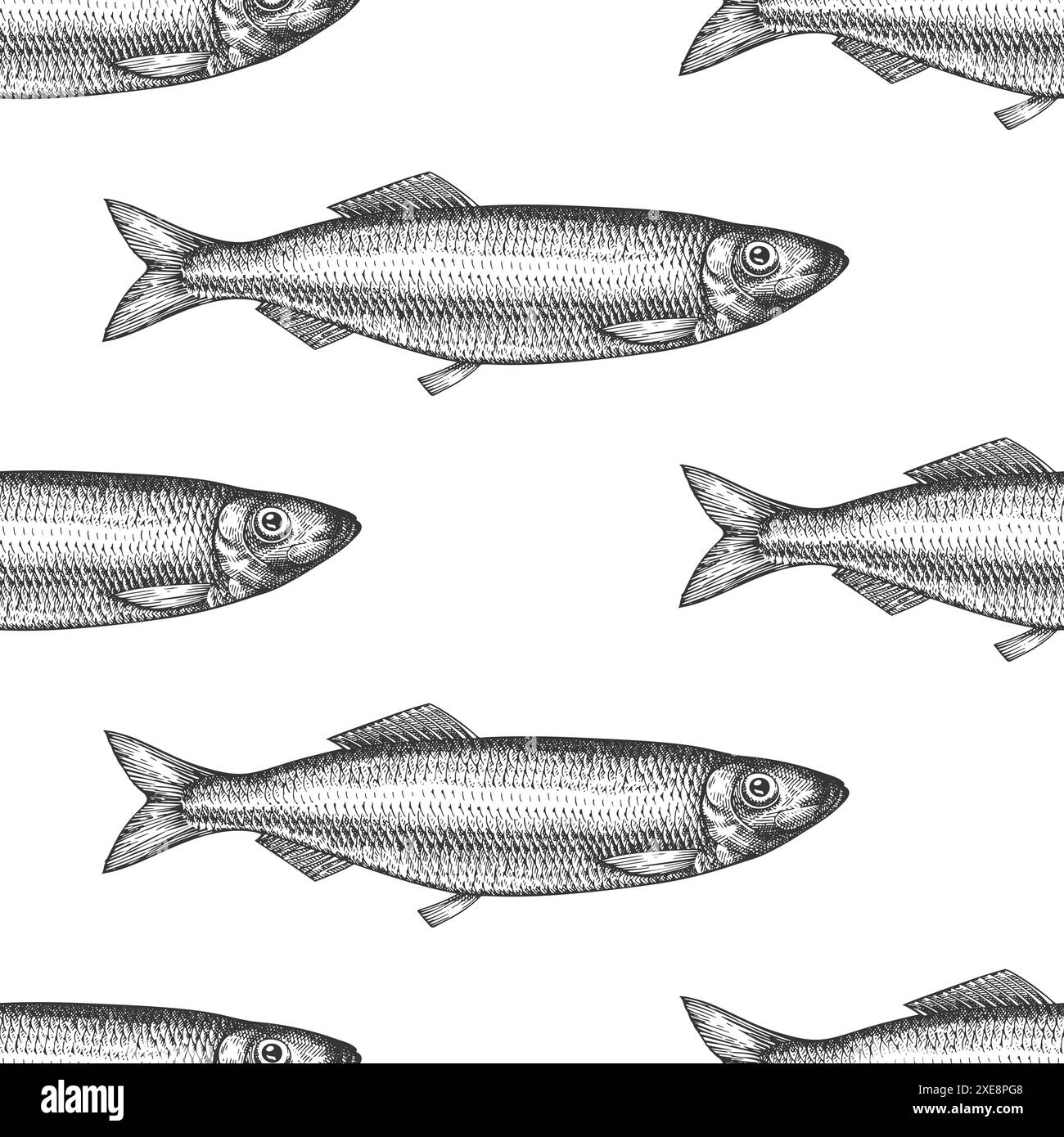Motif sans couture de hareng de style vintage. Vecteur fond de poisson dessiné à la main. Illustration ancienne mode de haute qualité Illustration de Vecteur