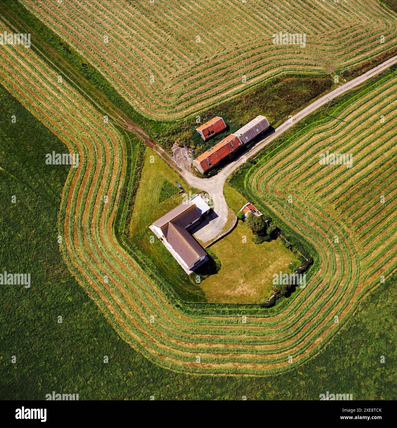 Farmstead, Orcades, Écosse Banque D'Images