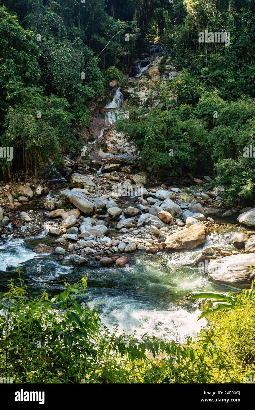 Petite cascade dans les montagnes de la Sierra Nevada, Colombie paysage sauvage. Banque D'Images