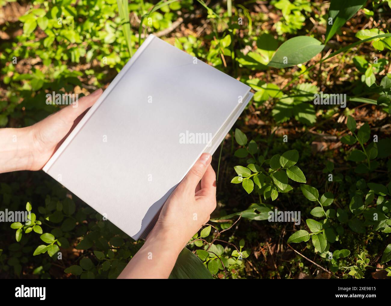. Livre blanc dos dur maquette dans la main dans la nature, journée ensoleillée, plantes vertes, herbe .. Banque D'Images