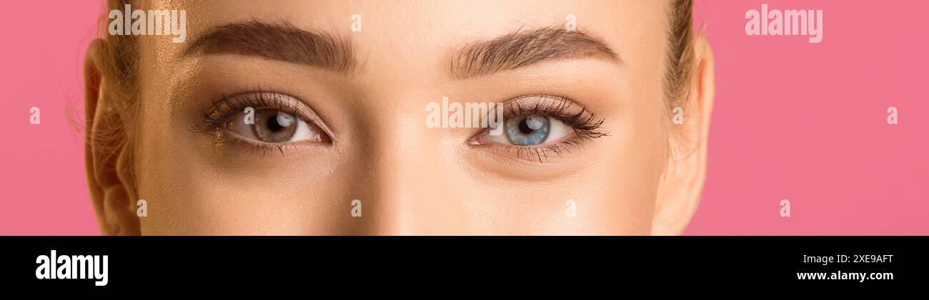 Gros plan des yeux des femmes avec des sourcils bruns sur fond rose Banque D'Images