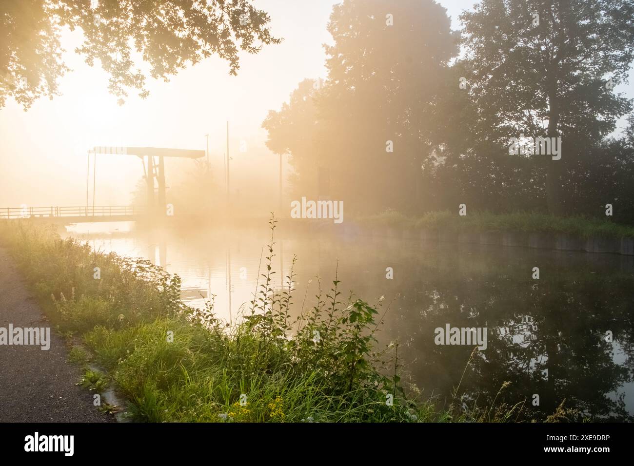 Misty Dawn au Riverside Banque D'Images