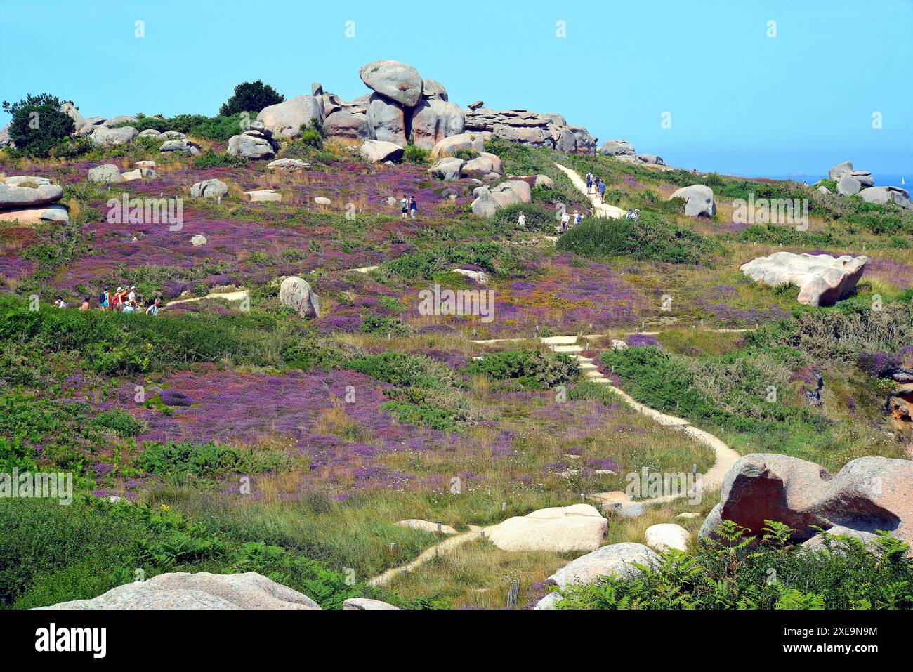 Côte de granit rose, Bretagne, France Banque D'Images