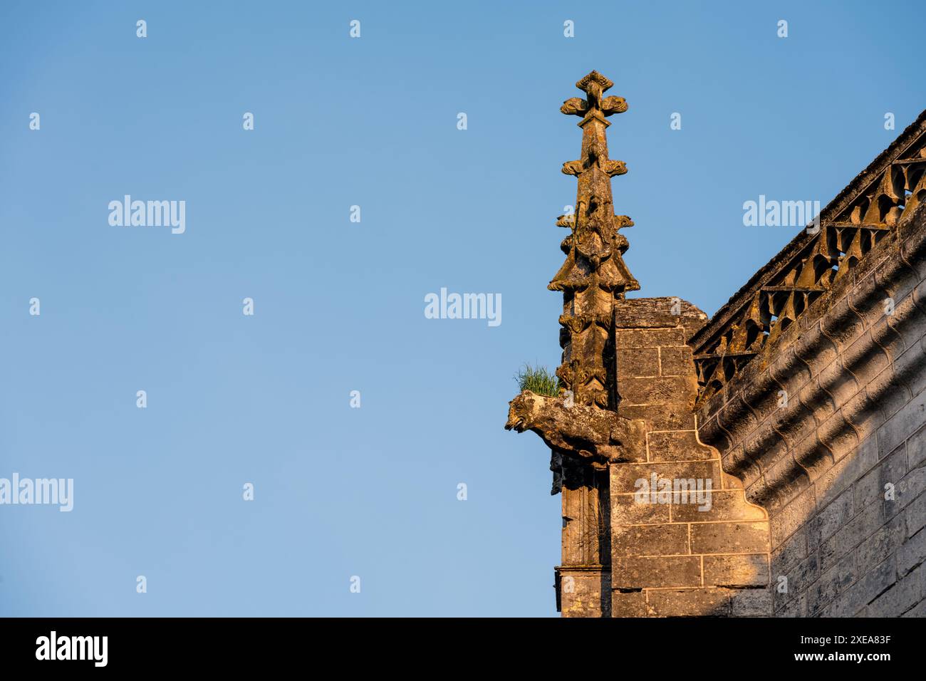 Gargouille sur le toit de la collégiale, Saint-Emilion, Gironde, France Banque D'Images