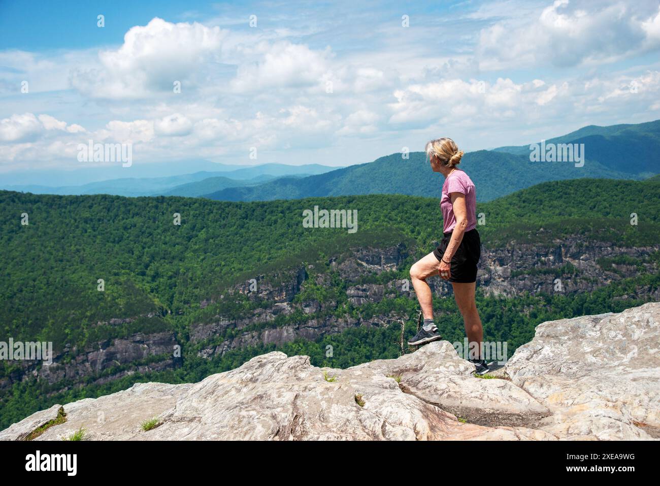Femmes adultes célibataires debout au sommet de Hawksbill Mountain. Blue Ridge Mountains, Caroline du Nord. Banque D'Images