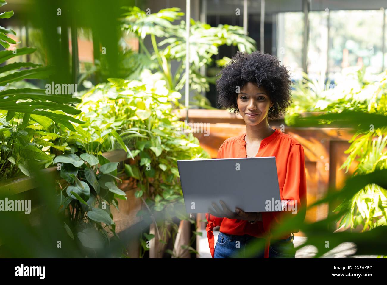 Tenant un ordinateur portable, femme d'affaires afro-américaine travaillant dans un environnement de bureau vert luxuriant Banque D'Images