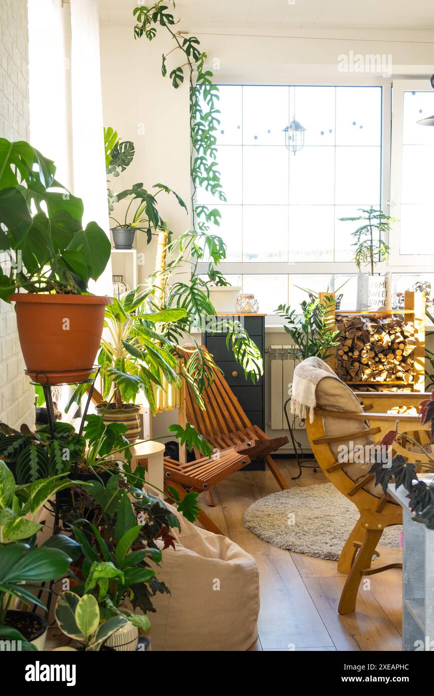 Plantes tropicales d'intérieur dans la chambre intérieure loft blanc dans la maison de campagne, meubles en bois, bois de chauffage pour cheminée à la lumière du soleil. H Banque D'Images