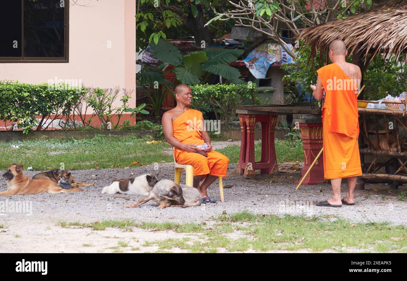 Moines sur le territoire du temple buddiste Wat Nai Harn à Phuket, Thaïlande Banque D'Images