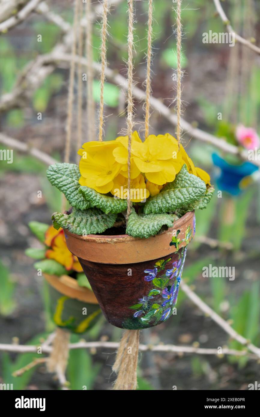 Plantes de fleurs de printemps dans des pots suspendus sur l'arbre dans le jardin printanier. Saison de floraison. Espace de copie de fond d'écran. Design ext Banque D'Images