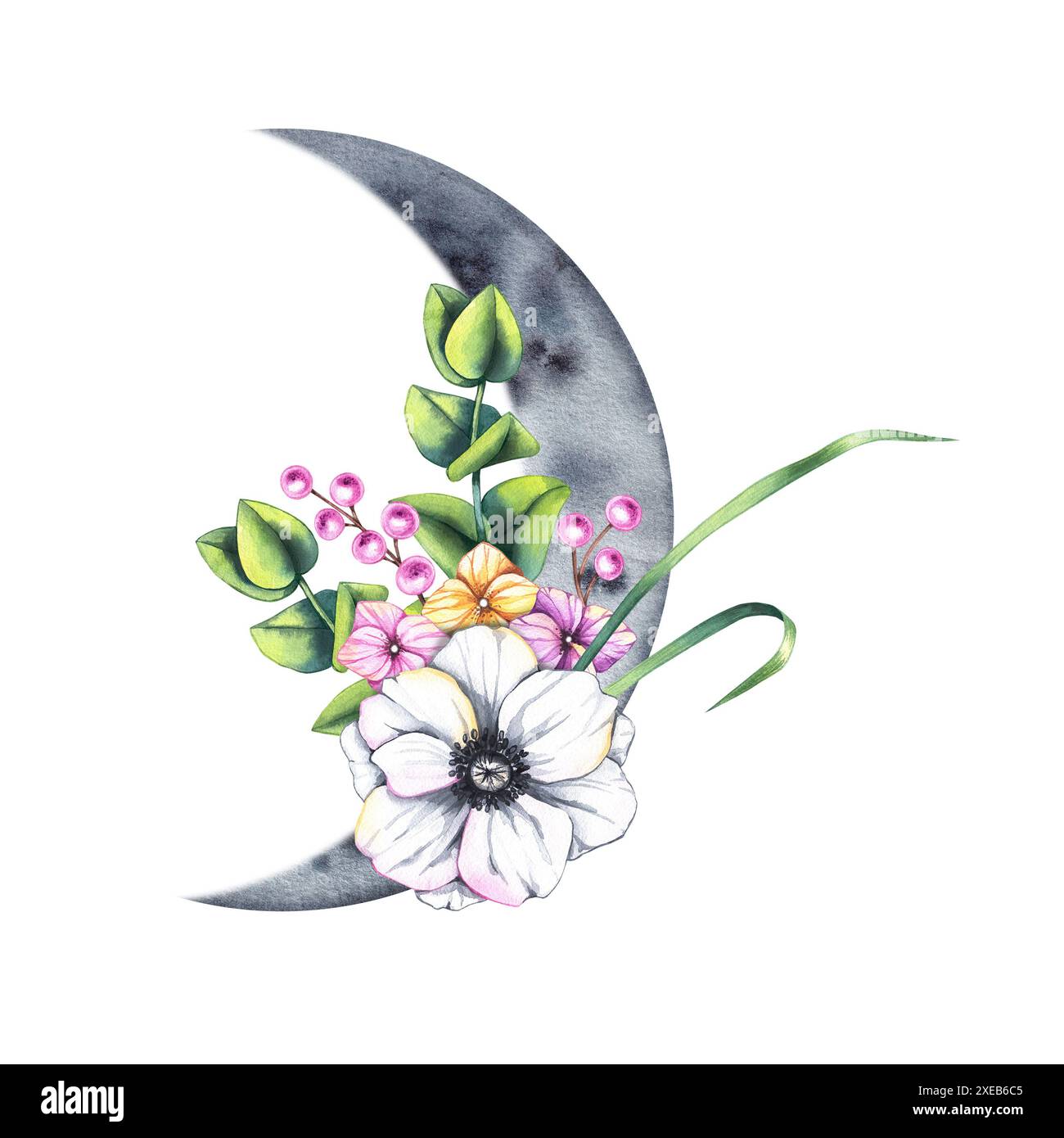 Lune aquarelle fleurie avec bouquet d'anémones, baies. Bouquet botanique floral avec lune pour la conception de cartes, invitations, impression, etc Banque D'Images
