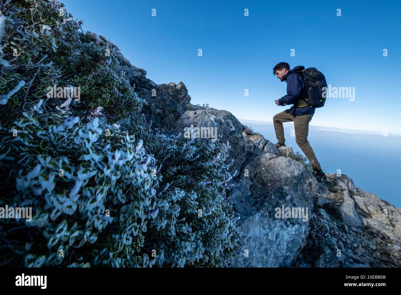 Route directe vers Morro den Pelut Banque D'Images