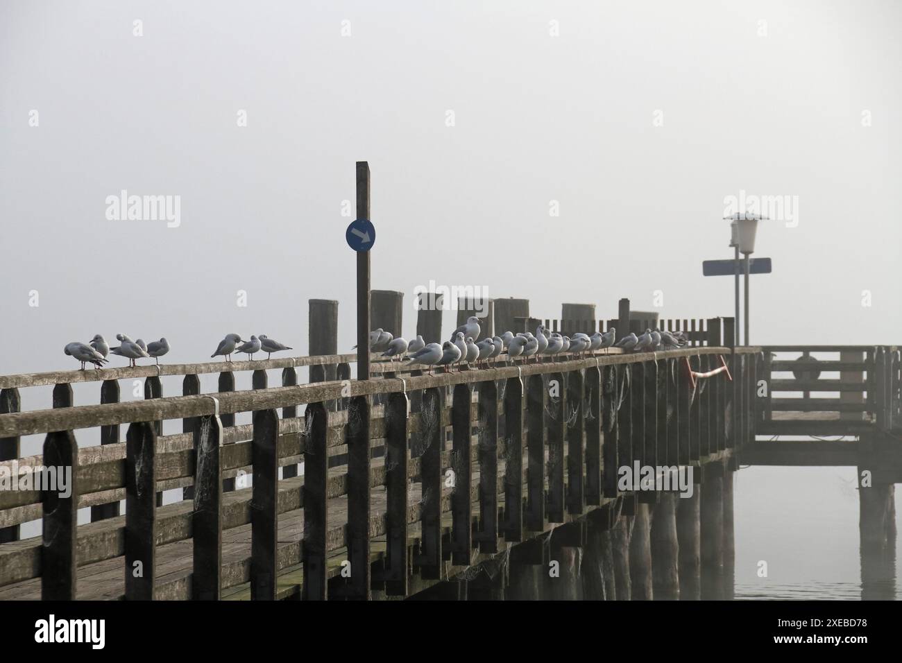 Quai de bateau en bois avec le soleil du matin dans la brume Banque D'Images