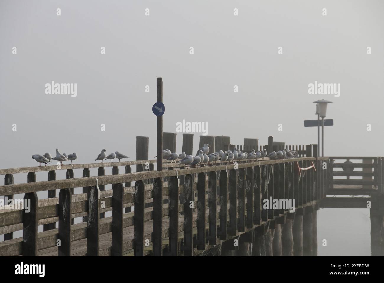 Quai de bateau en bois avec le soleil du matin dans la brume Banque D'Images