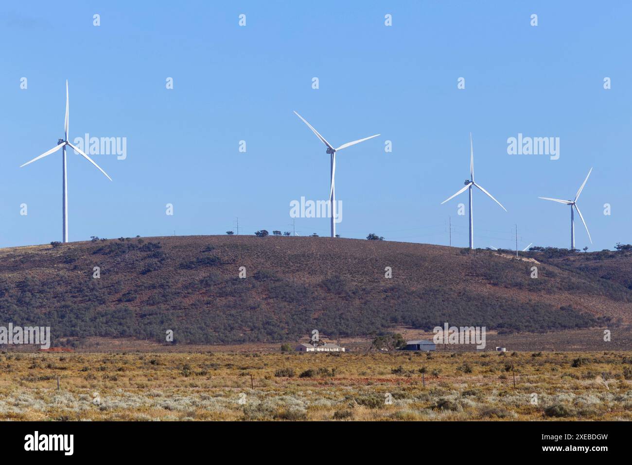 Des éoliennes bordent les collines du parc éolien Lincoln Gap près de Port Augusta en Australie méridionale Banque D'Images
