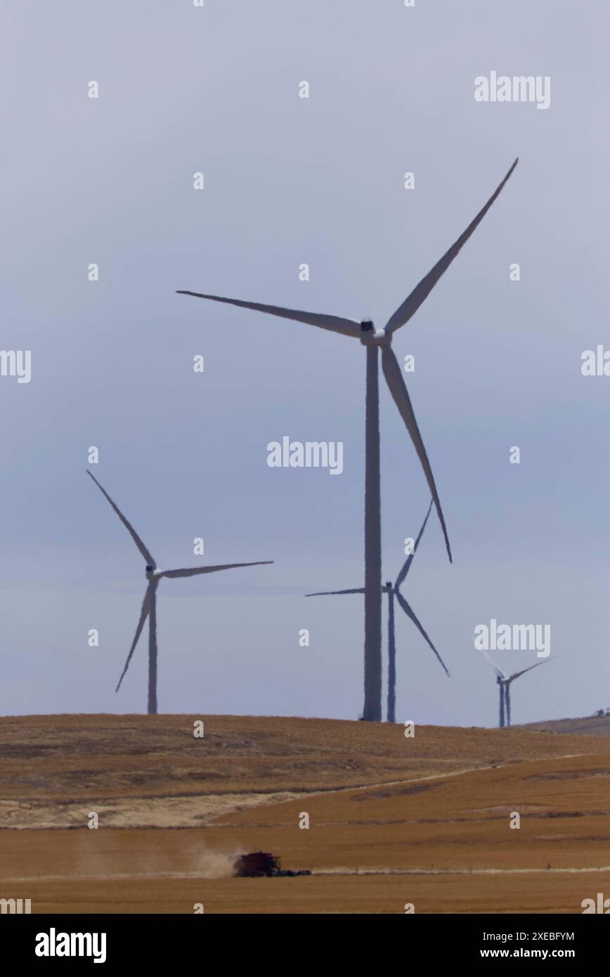 Moissonneuse-batteuse travaillant devant des éoliennes dans la réserve d'énergie de Hornsdale près de Jamestown en Australie méridionale Banque D'Images