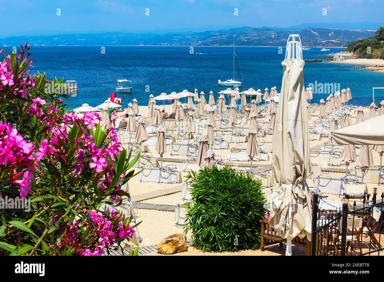 Fleurs de laurier rose, plage avec parasols et la mer bleue Banque D'Images