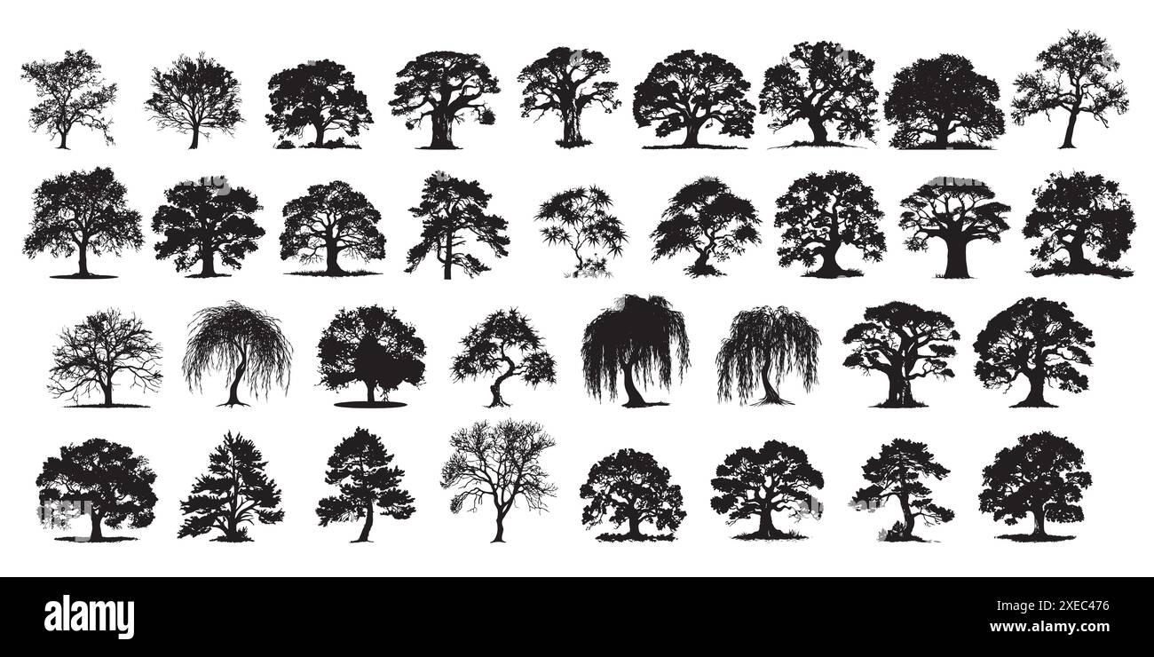 Un ensemble complet comprend 34 silhouettes d'arbres uniques, mettant en valeur une grande variété d'espèces et de formes d'arbres. Illustration de Vecteur