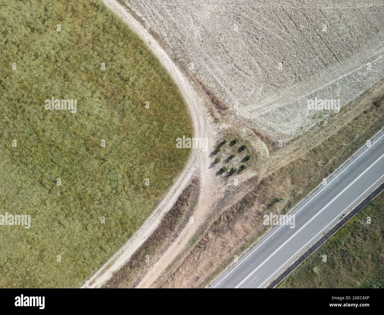 Paysage toscan sur une route de cyprès, Italie Banque D'Images