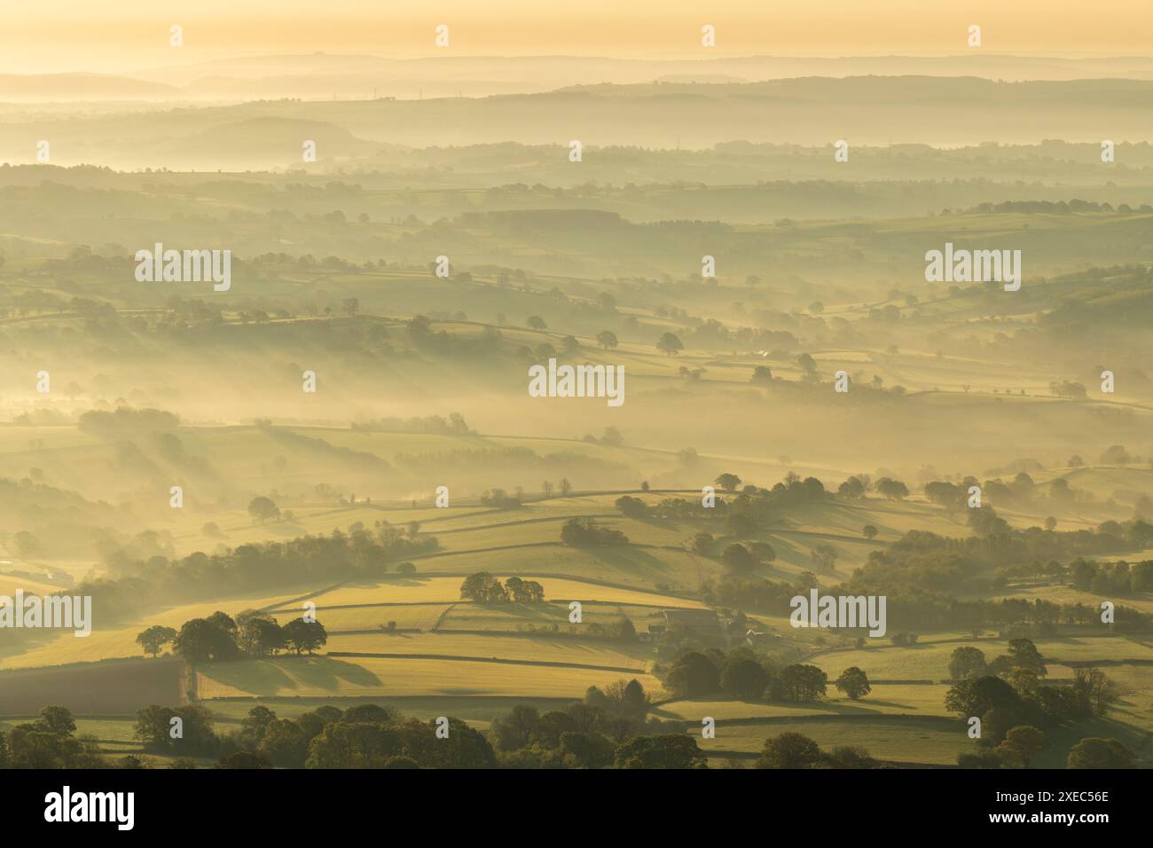 Campagne vallonnée couverte de brume à l'aube, Abergavenny, pays de Galles, Royaume-Uni. Printemps (mai) 2019. Banque D'Images