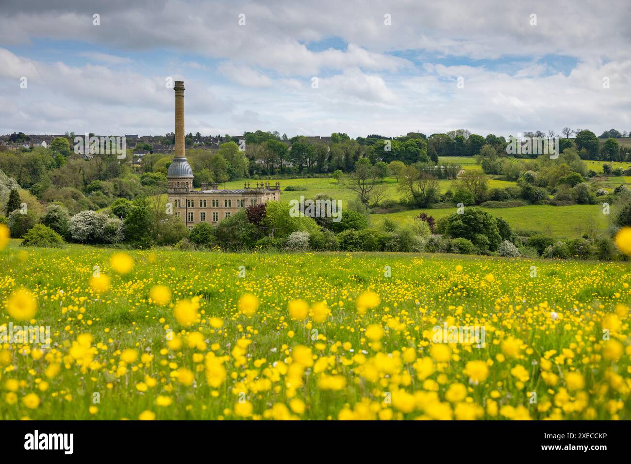 Buttercup Meadow et Bliss Tweed Mill dans les Cotswolds, Chipping Norton, Gloucestershire, Angleterre. Printemps (mai) 2024. Banque D'Images