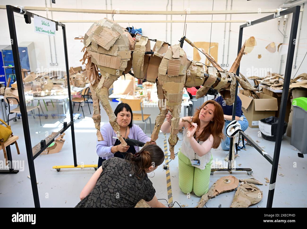 Wimbledon College of Arts, Londres, Royaume-Uni. 27 juin 2024. The Walk Productions - l'équipe derrière Little Amal - et Wimbledon College of Arts UAL - présentent The Herds, un nouveau projet d'art public de The Walk Productions. Ayant lieu en 2025, les troupeaux verront de grands groupes d’animaux marionnettes grandeur nature migrer vers le nord sur 20 000 km à travers l’Afrique et l’Europe alors qu’ils fuient les catastrophes climatiques. L’équipe créative montre les animaux dans l’atelier et fait leurs premiers pas. Crédit : Malcolm Park/Alamy Live News Banque D'Images