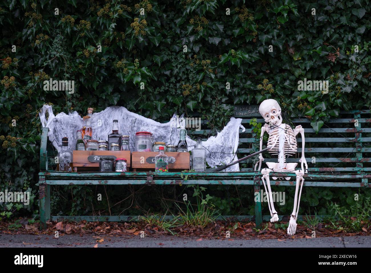 Un modèle squelette en plastique assis sur un vieux banc avec des cadeaux horribles et effrayants prêts pour haloween. Banque D'Images