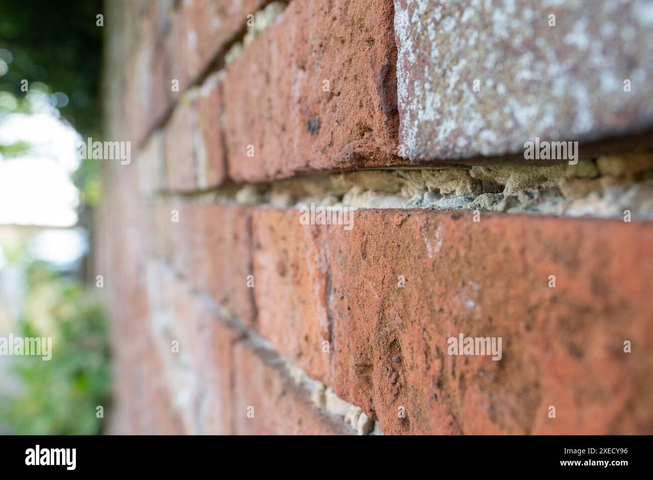 Vieux mur de briques altérées dans le besoin de repointer dans un village britannique rural Banque D'Images