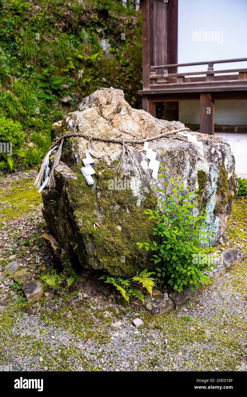 Un rocher sacré (Iwakura) contenant le Dieu Kami avec la corde shimenawa enroulée autour, à Ujigami Jinja, ville d'Uji, préfecture de Kyoto, Japon Banque D'Images