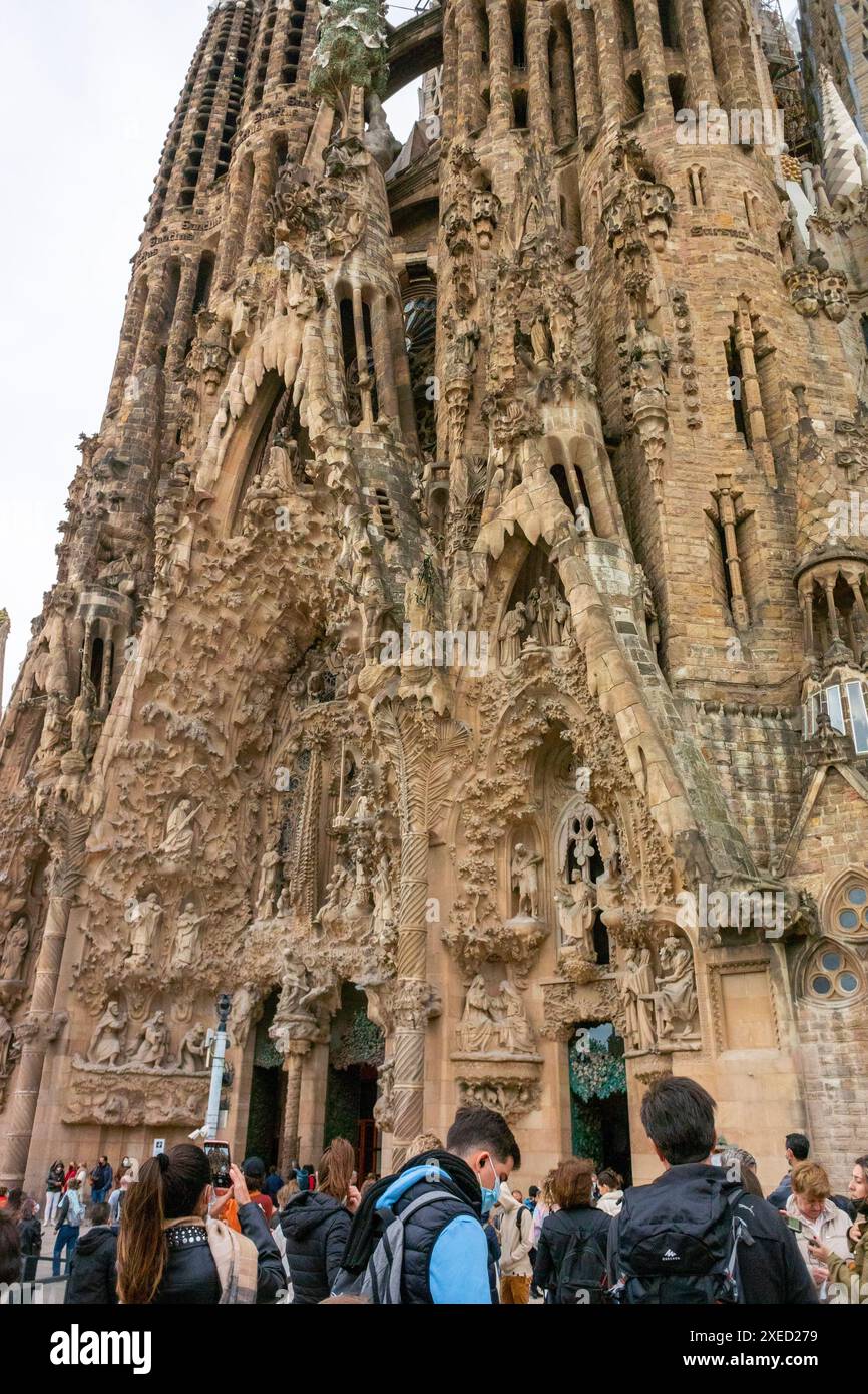 Barcelone, Espagne, foule, touristes, visite célèbre Monument historique espagnol, Cathédrale, Barcelone, Espagne, barcelone sagrada familia , Banque D'Images