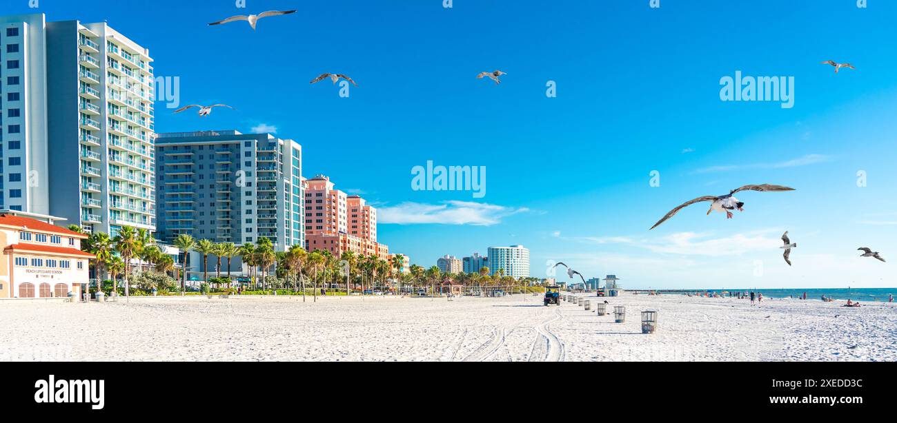 Belle plage de Clearwater avec sable blanc en Floride Etats-Unis avec mouettes Banque D'Images