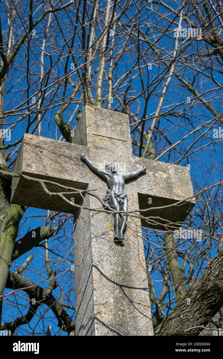 Crucifié Jésus-Christ sur la croix. Arbre et ciel bleu en arrière-plan. Banque D'Images