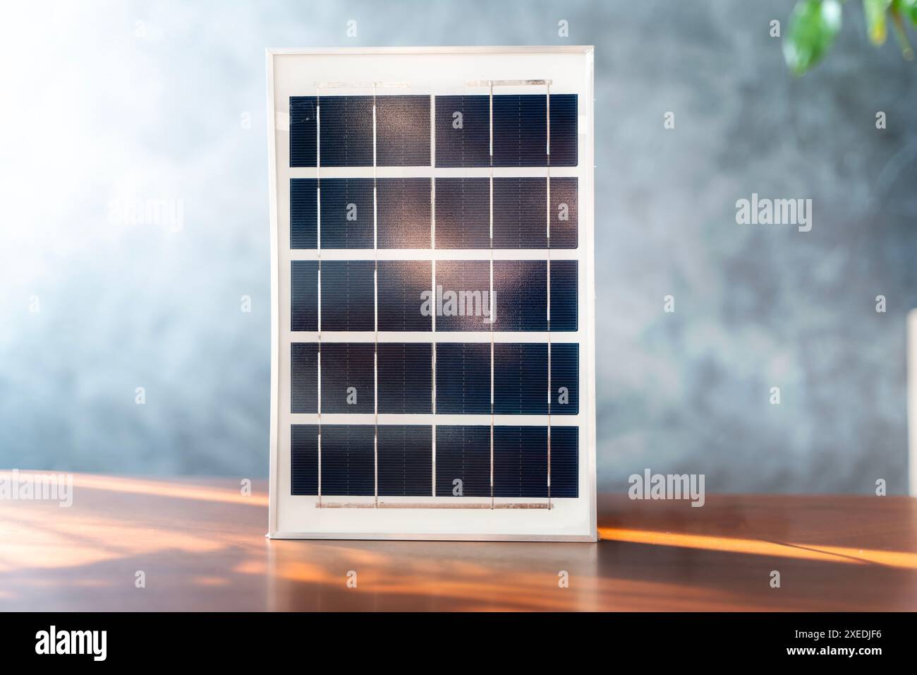 Panneau solaire, montrant ses cellules photovoltaïques est connecté, qui stocke l'énergie générée par le panneau. Le panneau solaire est dans un endroit ensoleillé, Banque D'Images