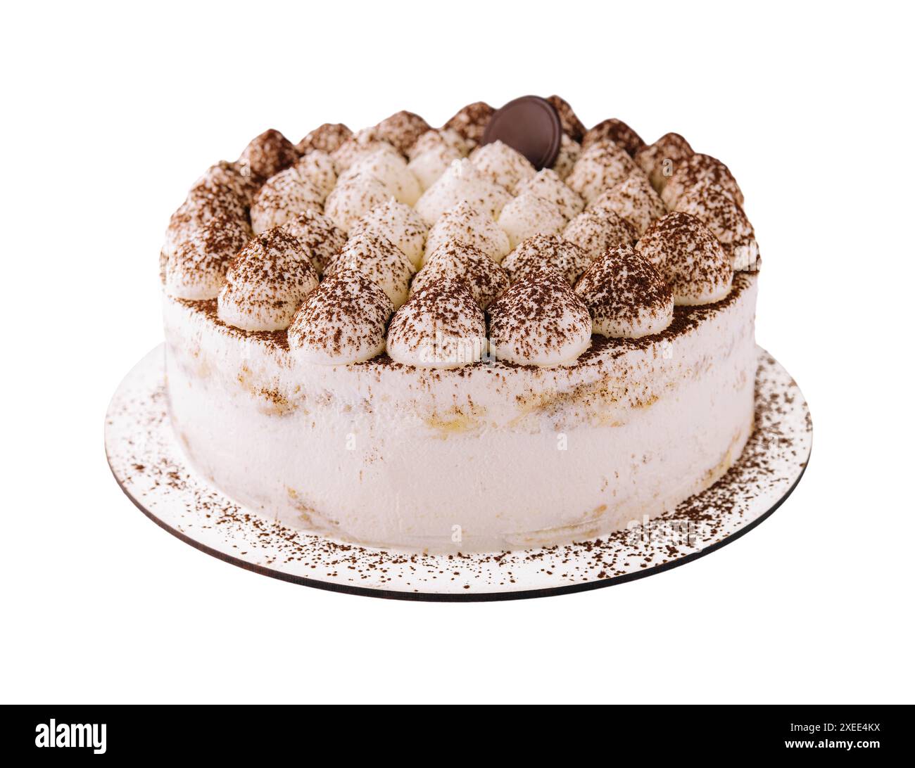 gâteau tiramisu maison saupoudré de poudre de cacao sur l'assiette Banque D'Images