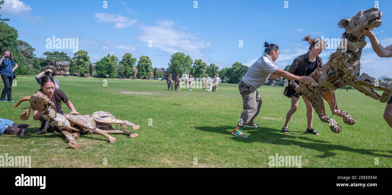 Wimbledon College of Arts, Londres, Royaume-Uni. 27 juin 2024. The Walk Productions - l'équipe derrière Little Amal - et Wimbledon College of Arts UAL - présentent The Herds, un nouveau projet d'art public de The Walk Productions. Ayant lieu en 2025, les troupeaux verront de grands groupes d’animaux marionnettes grandeur nature migrer vers le nord sur 20 000 km à travers l’Afrique et l’Europe alors qu’ils fuient les catastrophes climatiques. L’équipe créative montre les animaux dans l’atelier et fait leurs premiers pas. Crédit : Malcolm Park/Alamy Live News Banque D'Images