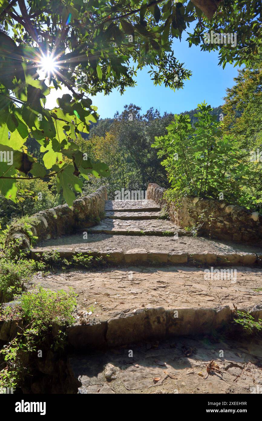Le Pont des Tuves ou pont des Gabres sur la siagne dans l'arrière pays de la Côte d'Azur Banque D'Images