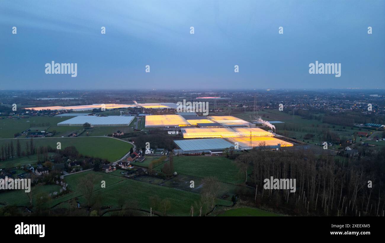 Duffel, Belgique, 20 mars 2024, Crépuscule sur Techno-Agriculture : serres lumineuses au milieu du crépuscule Banque D'Images