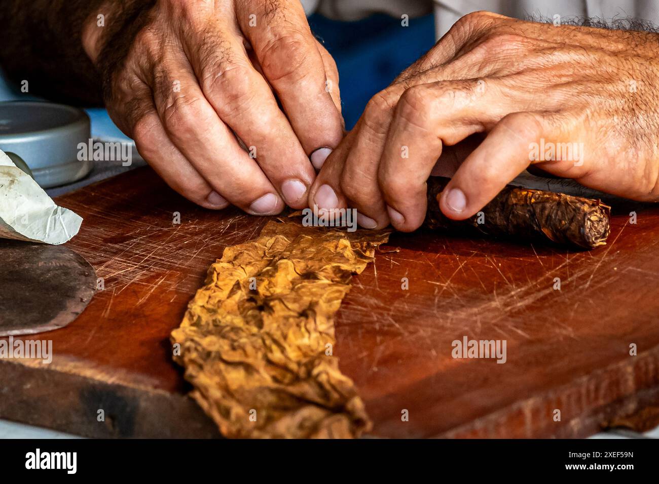 Les mains masculines roulent un cigare corona cubain, enveloppant une feuille d'emballage brun moyen Colorado Claro, mettant en valeur la tradition des cigares faits maison. Banque D'Images Les mains masculines roulent un cigare corona cubain, enveloppant une feuille d'emballage brun moyen Colorado Claro, mettant en valeur la tradition des cigares faits maison. Banque D'Images