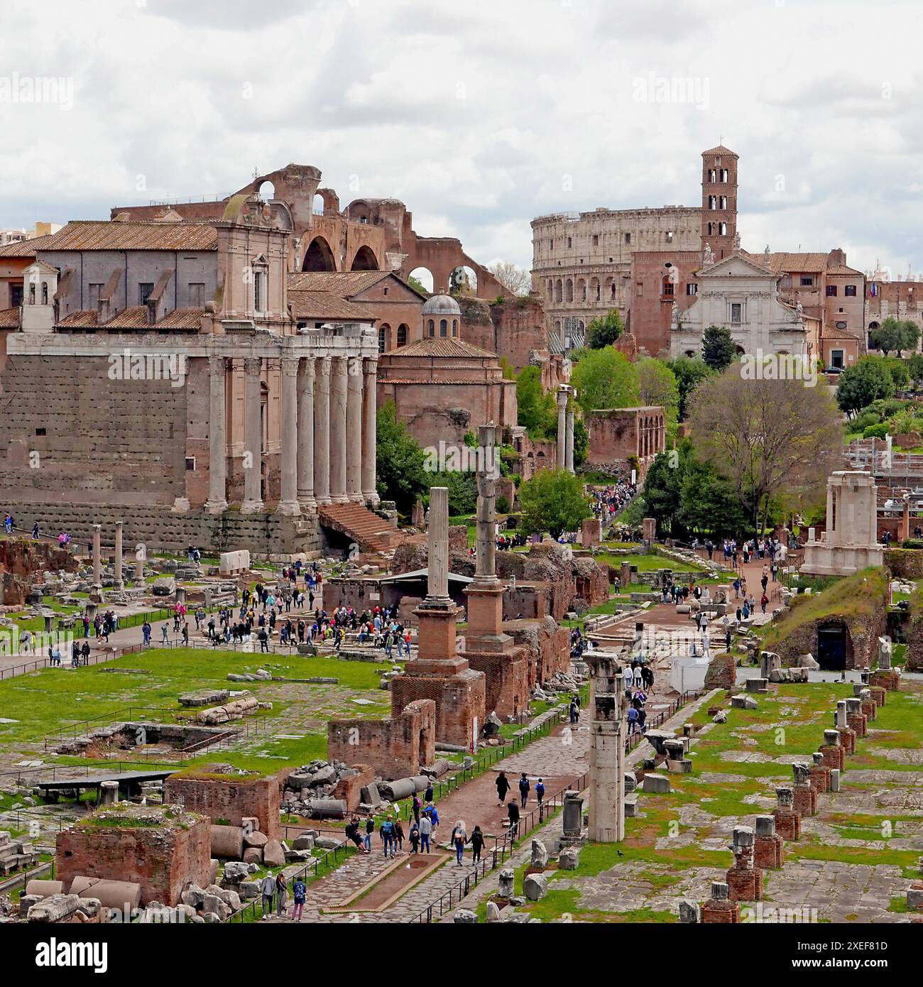 Forum Romanum Banque D'Images