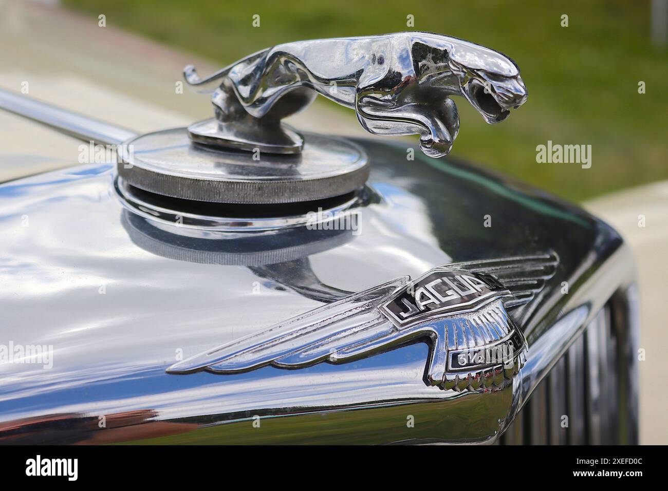 La mascotte de capot de chat bondissant équipant une Jaguar de 3 1/2 litres d’après-guerre, conçue par F. Gordon Crosby, artiste et illustrateur renommé du magazine autocar. Banque D'Images