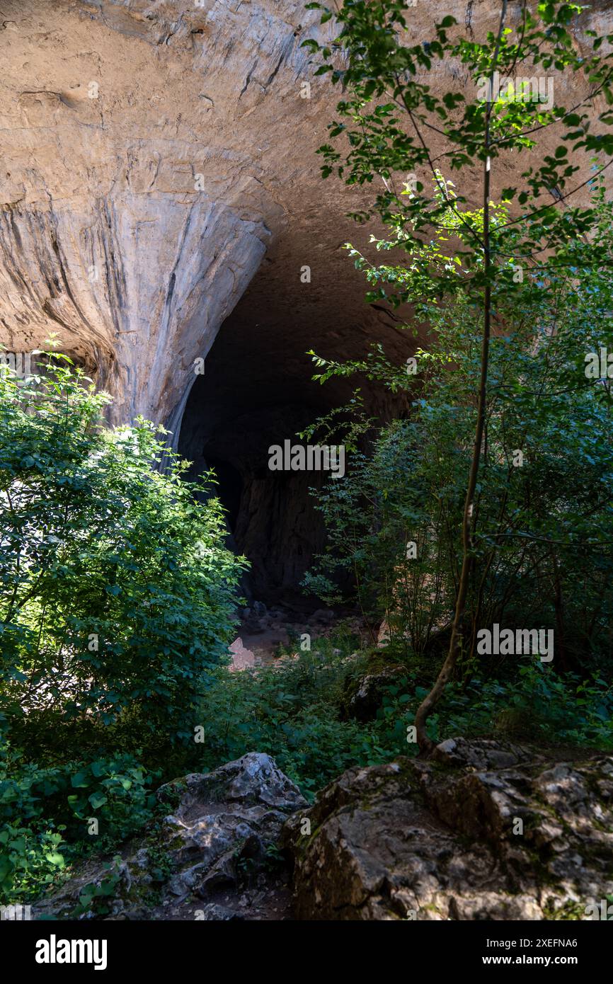 Une végétation verdoyante prospère autour de l'entrée d'une grande grotte naturelle Banque D'Images