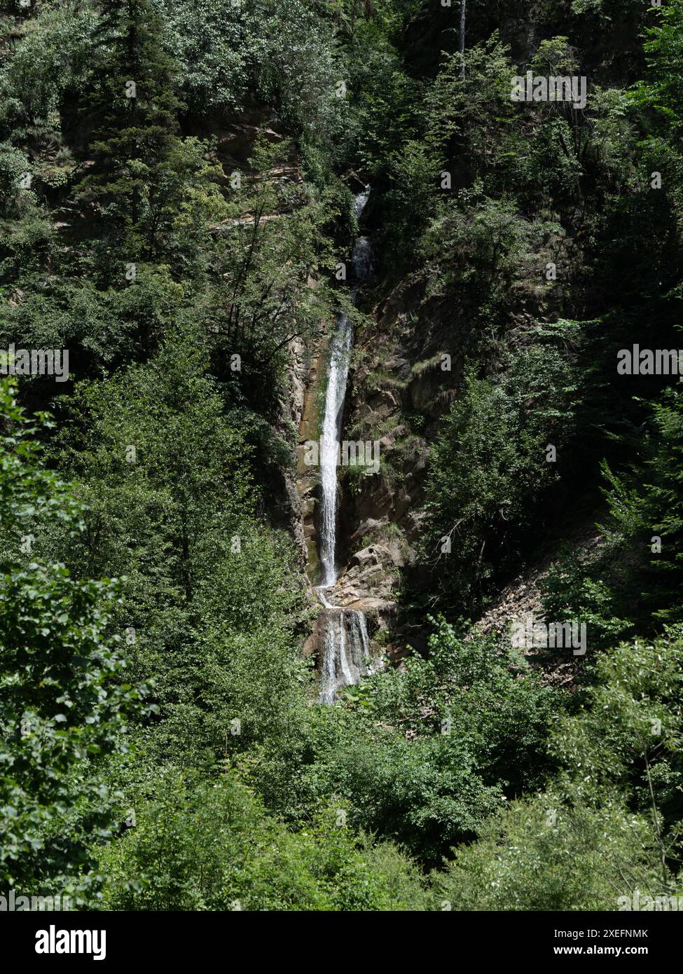 Belle cascade descend en cascade un flanc de montagne verdoyant dans cette scène estivale Banque D'Images
