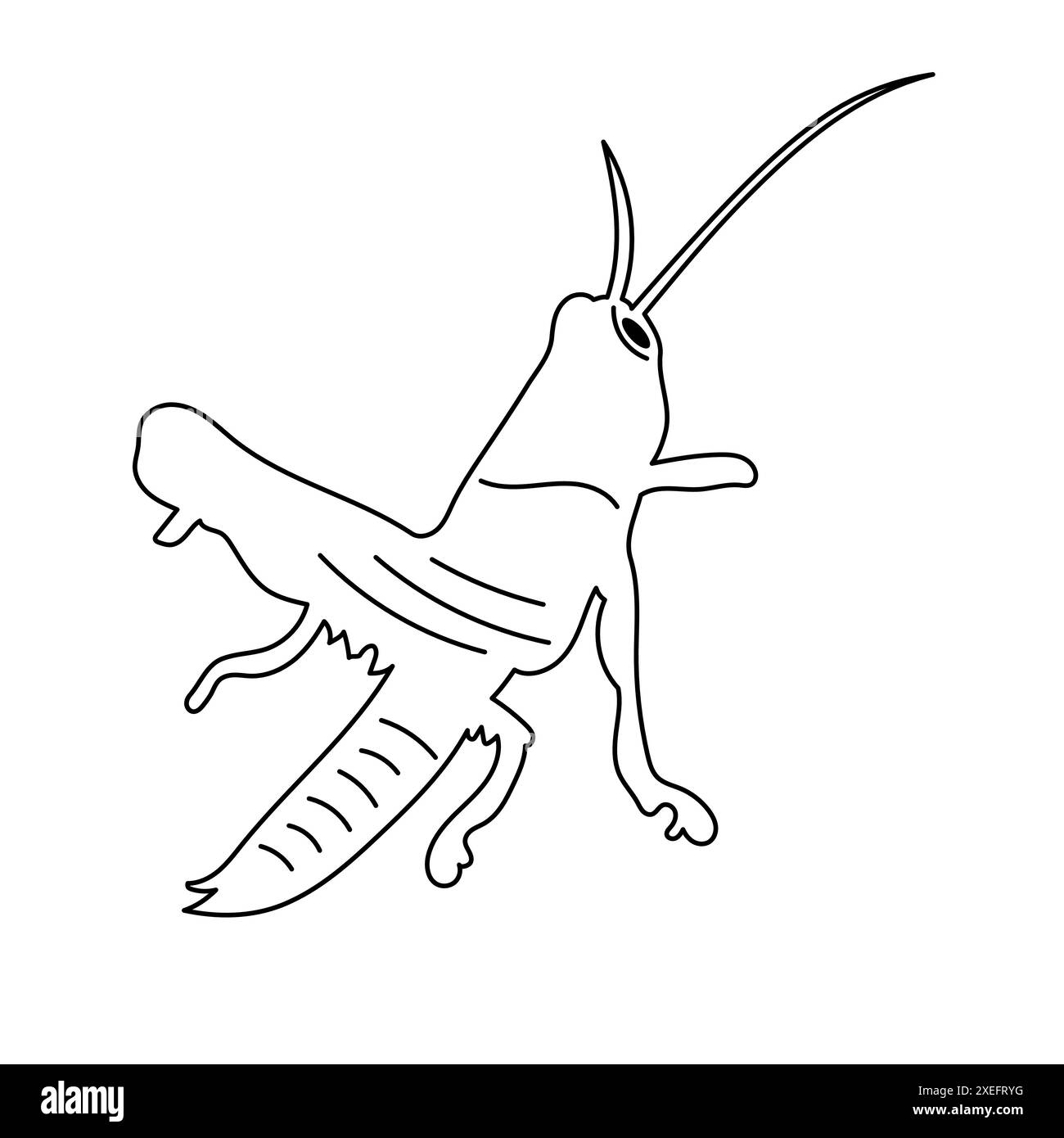 Icône dessinée à la main pour bébé sauterelle verte Illustration de Vecteur