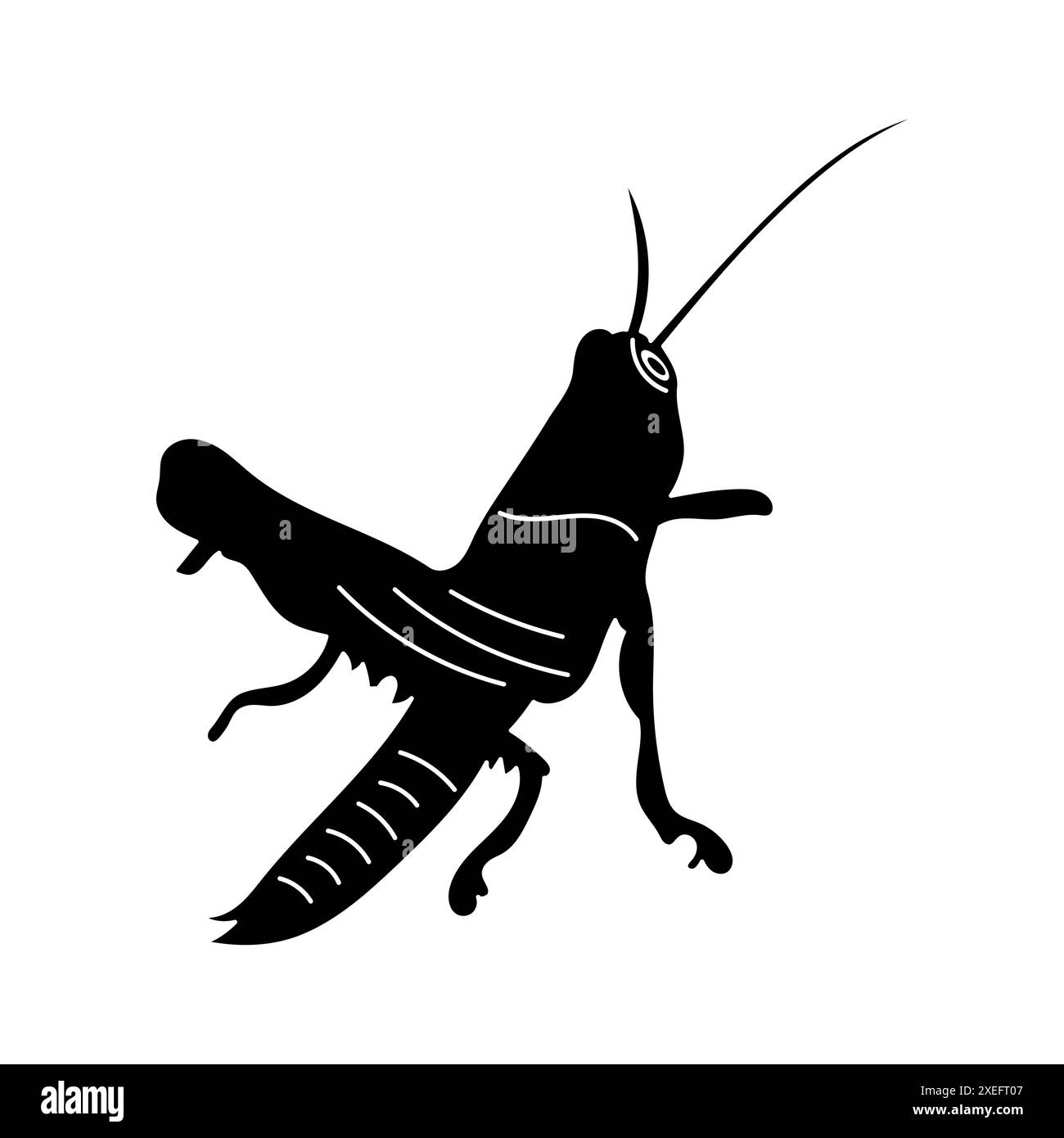 Icône dessinée à la main pour bébé sauterelle verte Illustration de Vecteur