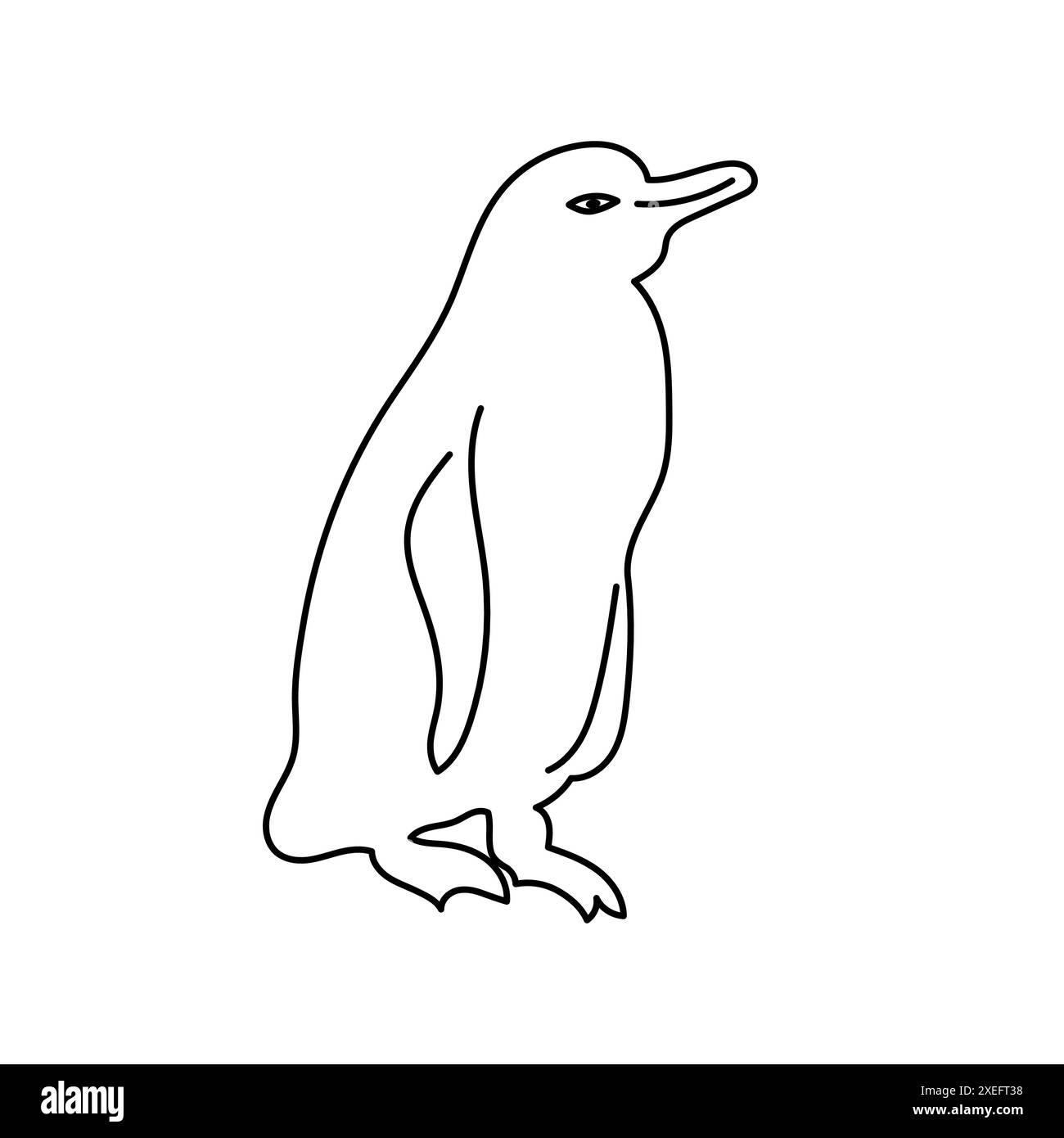 Icône dessinée à la main pour Un manchot des Galapagos debout sur un rocher (Spheniscus mendiculus) Illustration de Vecteur