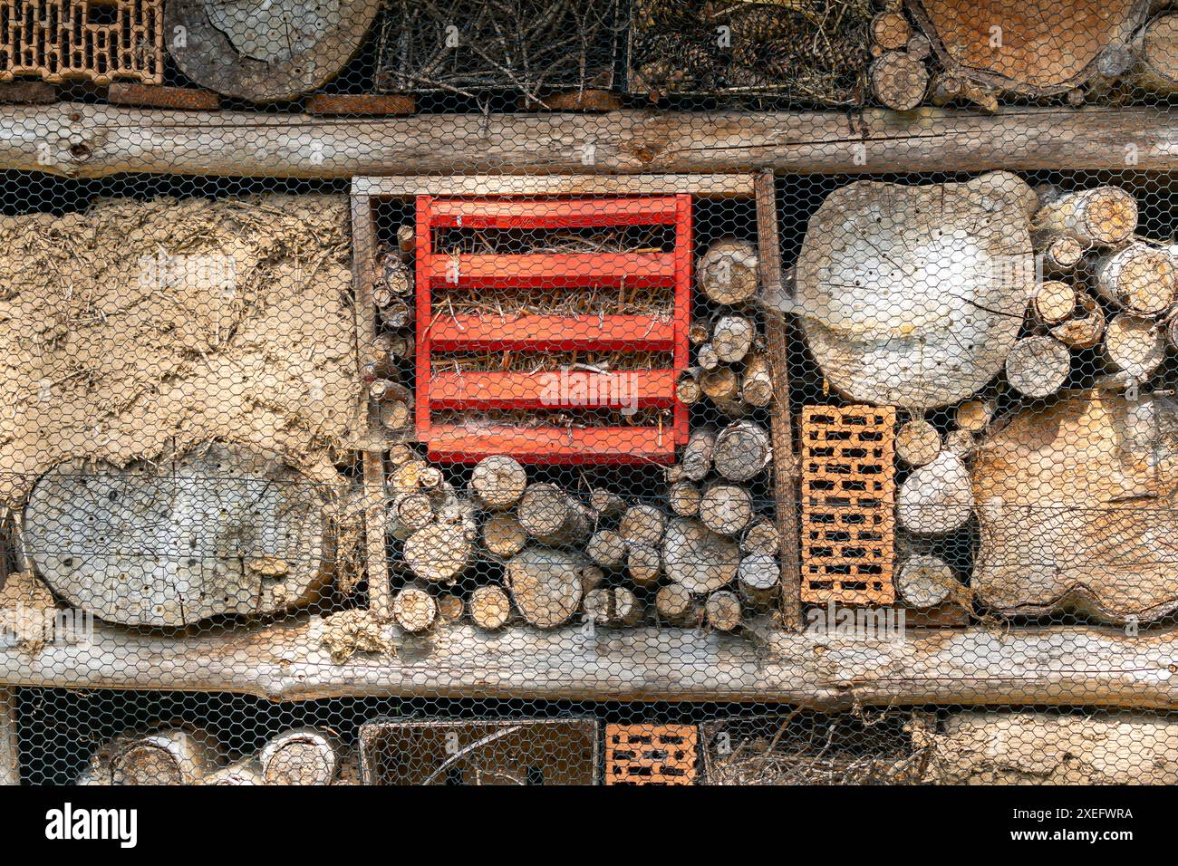 Habitat hôtelier d'insectes Banque D'Images